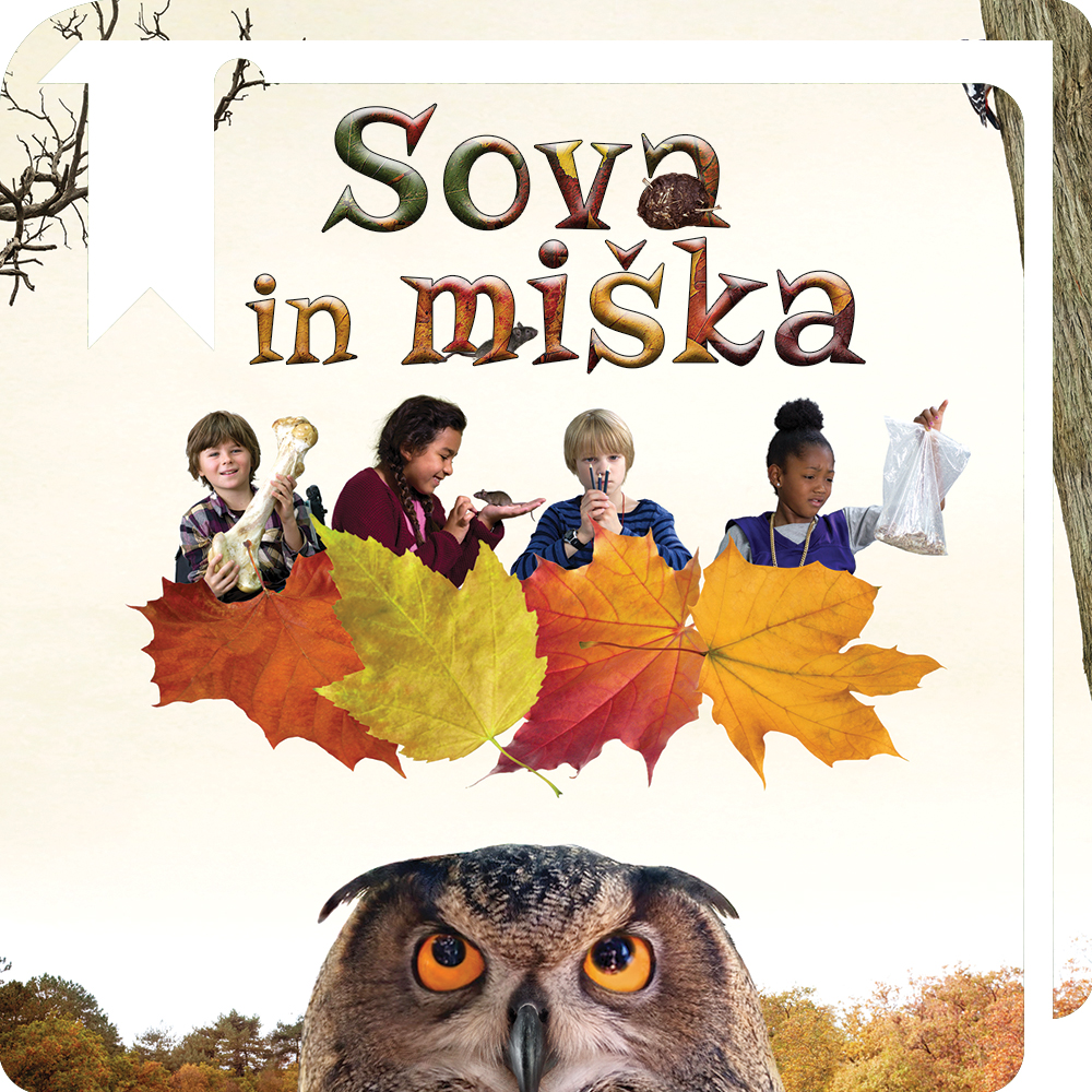 Sova in miška