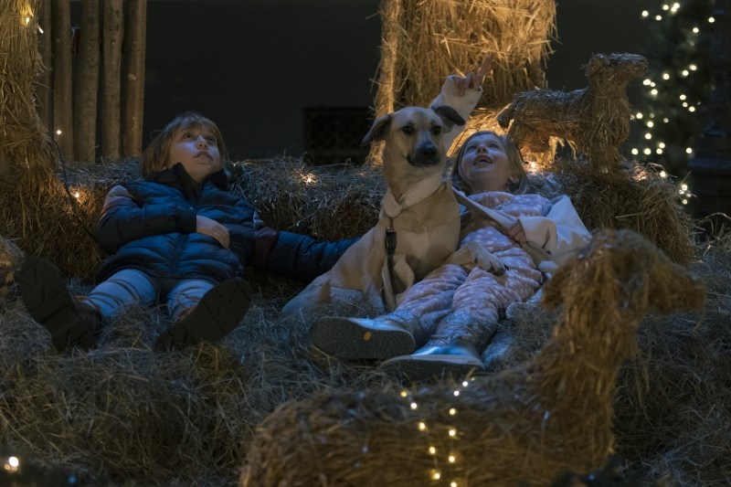 Kapa: ogled novega slovenskega božičnega filma in pogovor z ustvarjalci