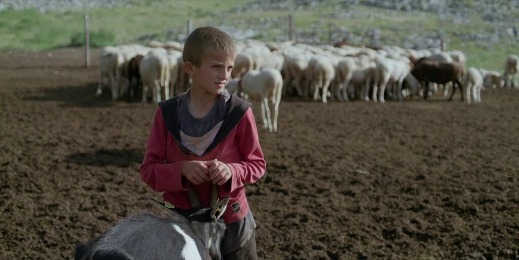 Premiera filma Poletne počitnice
