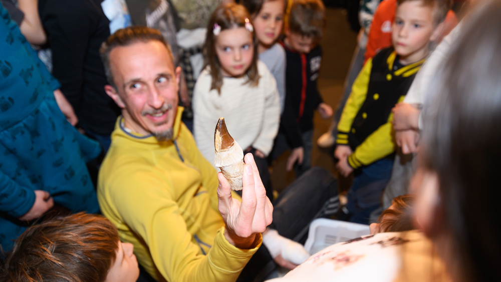 O paleontologiji in fosilih: posnetek pogovora z dr. Rokom Gašparičem